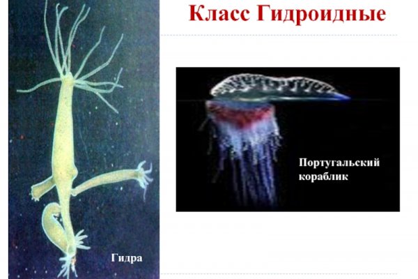 Кракен 2krn